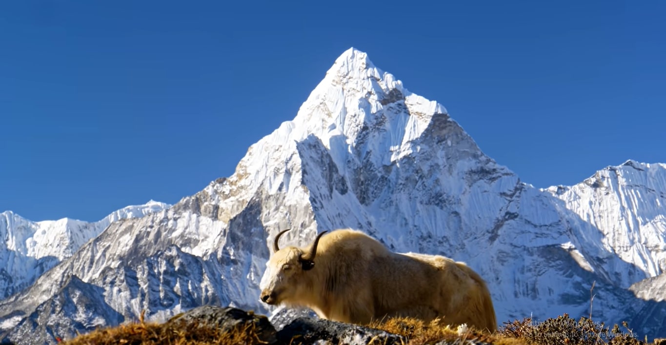 Photography Tours in Nepal-Capturing the Beauty of the Himalayas